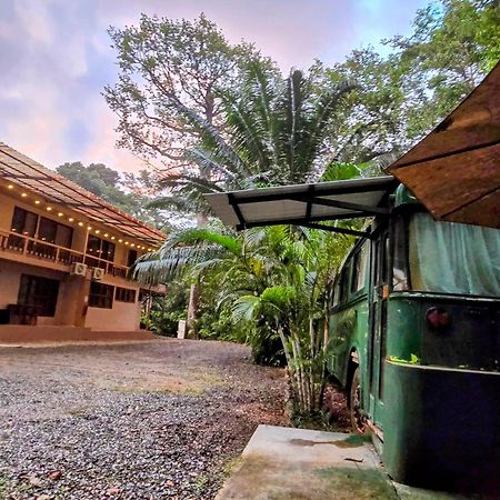Cool Waters Jungle Villas Uvita Extérieur photo