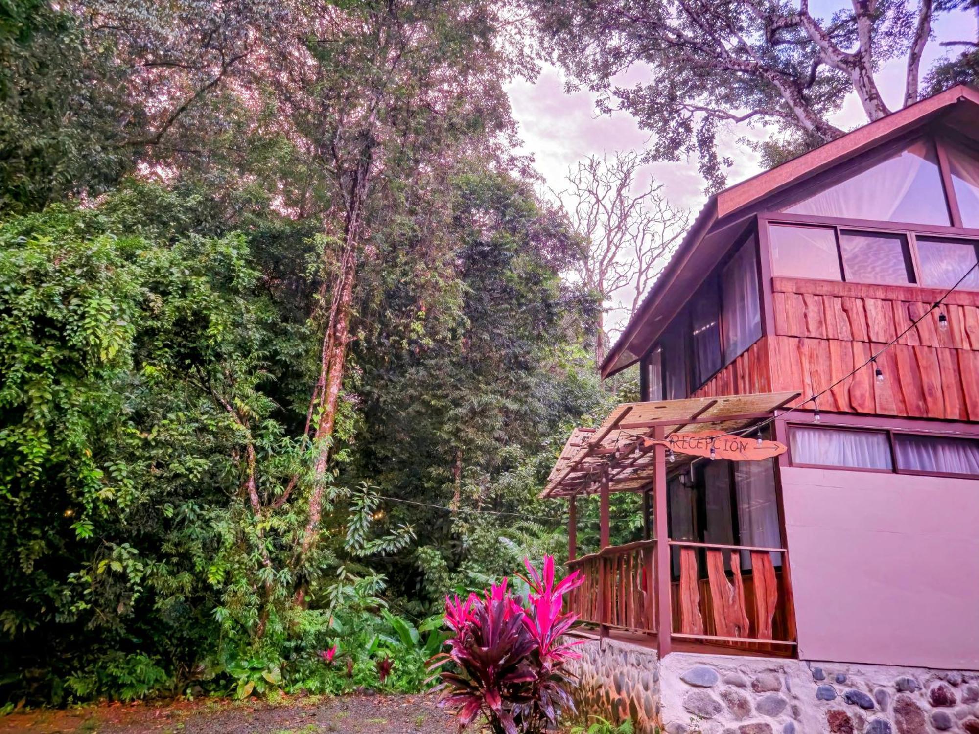 Cool Waters Jungle Villas Uvita Extérieur photo