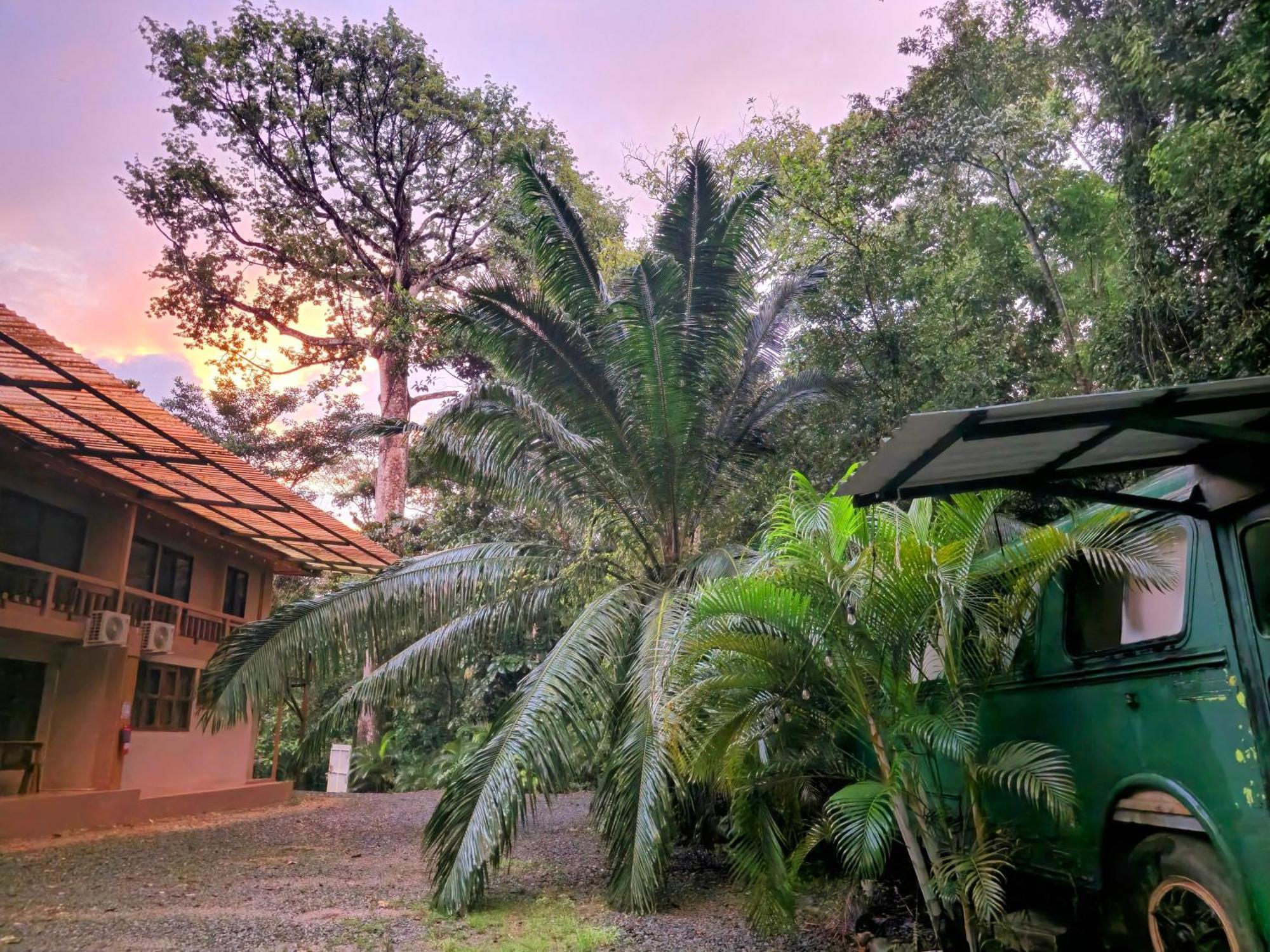 Cool Waters Jungle Villas Uvita Extérieur photo